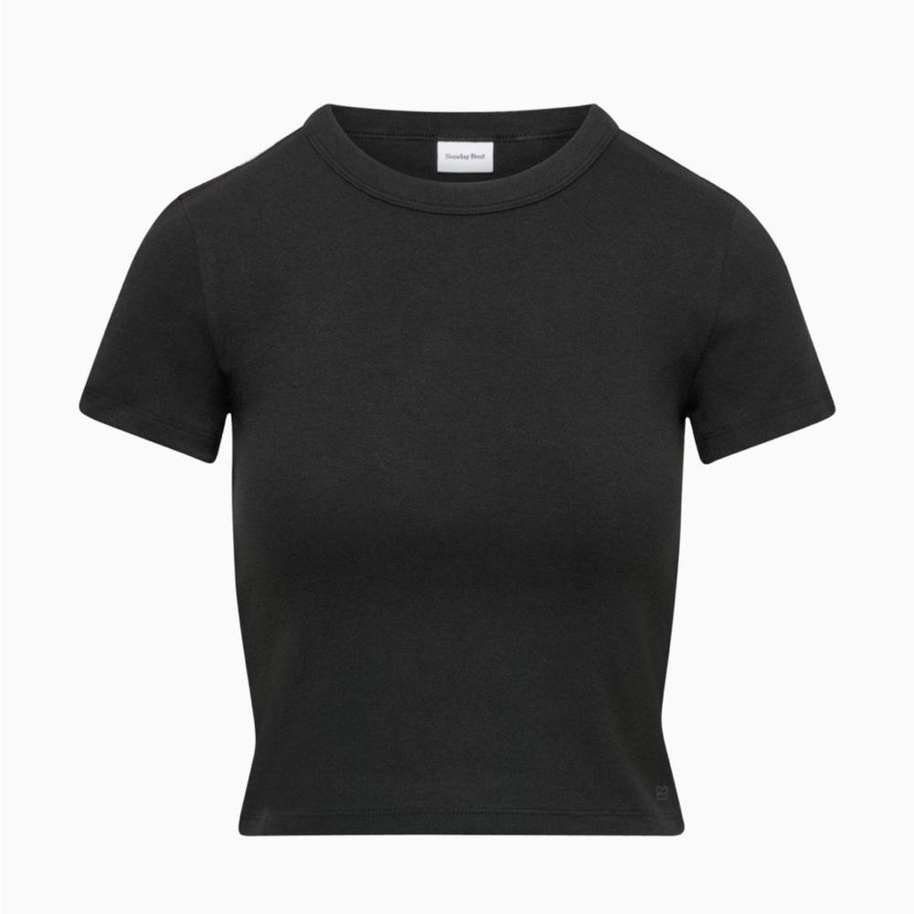Aritzia Sunday Best Little Ribber T-Shirt